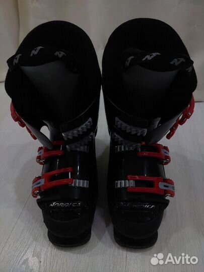 Горные лыжи