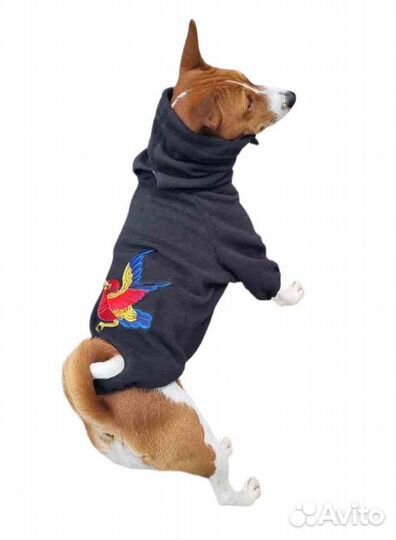 Худи, комбинезоны для басенджи