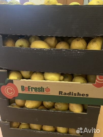 Лимонный фреш/ свежевыжатый лимонный сок/сок лимон