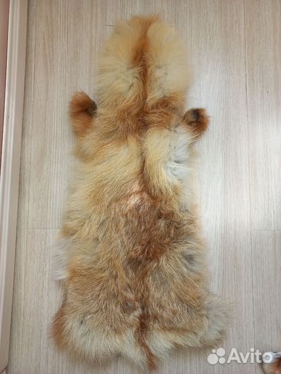 Шкура лисы
