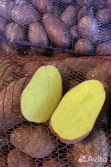 Картофель и другие овощи с доставкой