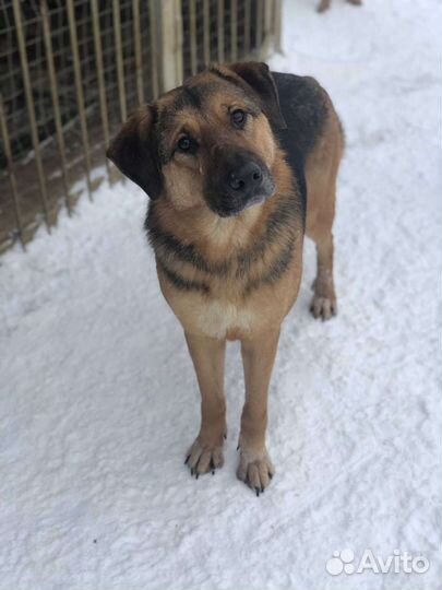 Девочка Самира