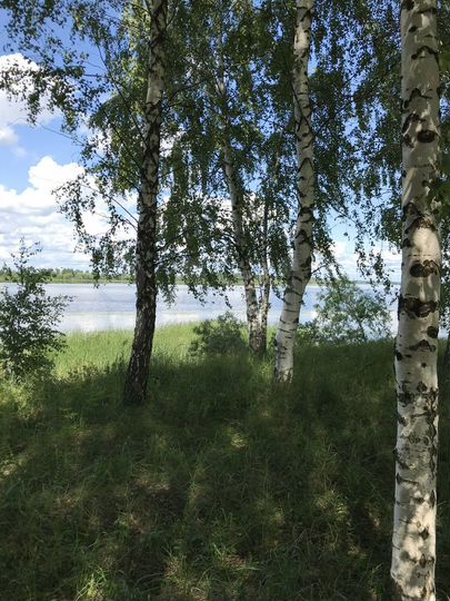 Участок 15,7 сот. (СНТ, ДНП)