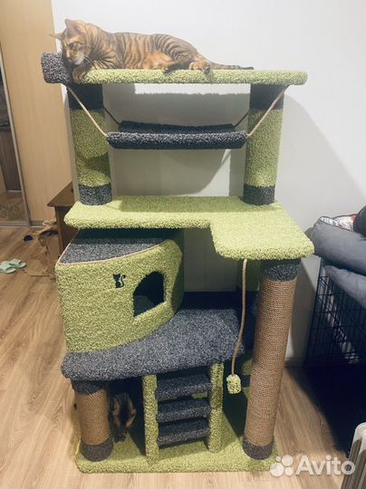 Домик - когтеточка, лежанка для котов(кошек) новый