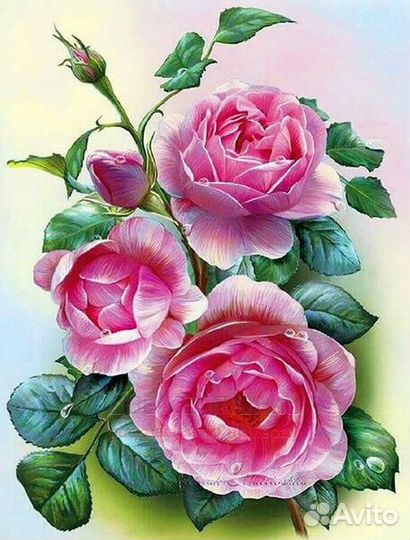 Алмазная мозаика 40x50 Красивые розы в каплях