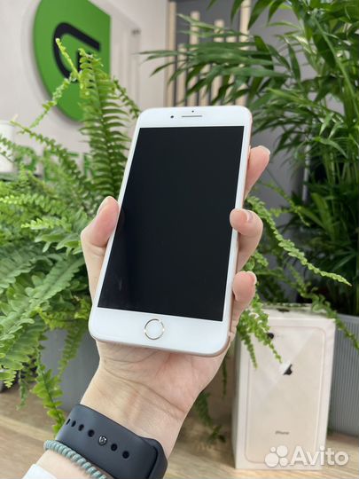 iPhone 8 Plus, 64 ГБ