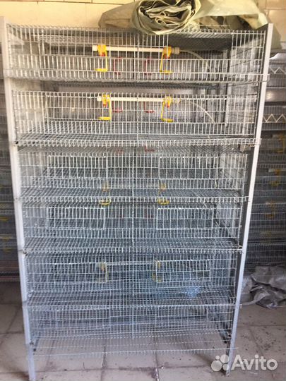 Клетки для перепелов