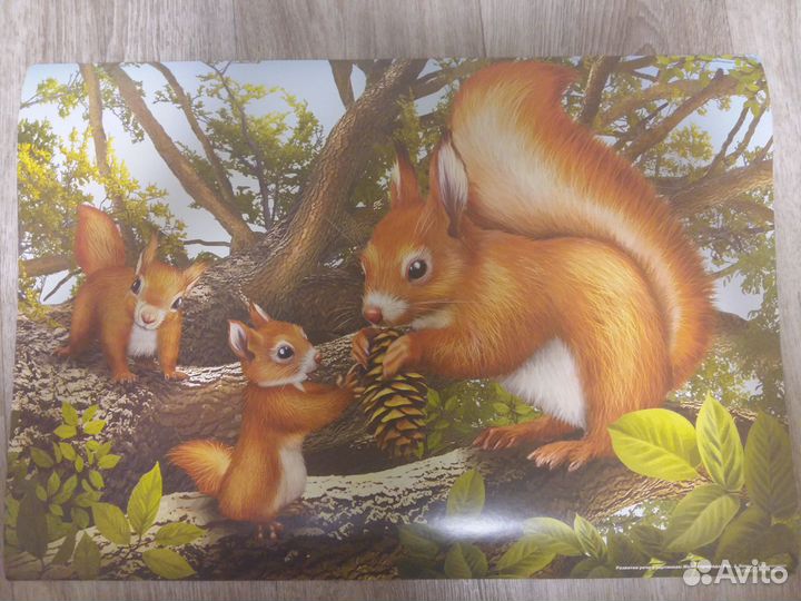 Наглядные пособия для дет. сада или школы. Набор