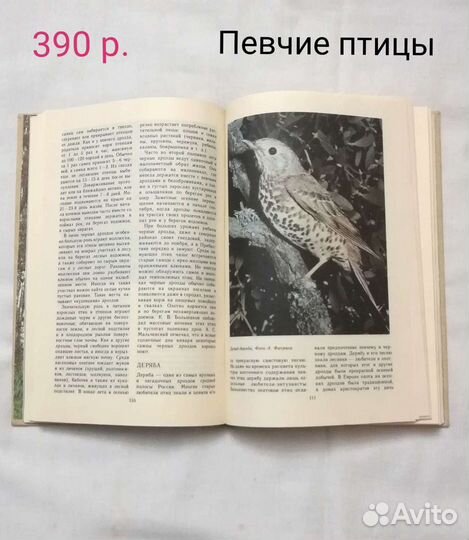 Книги о животных