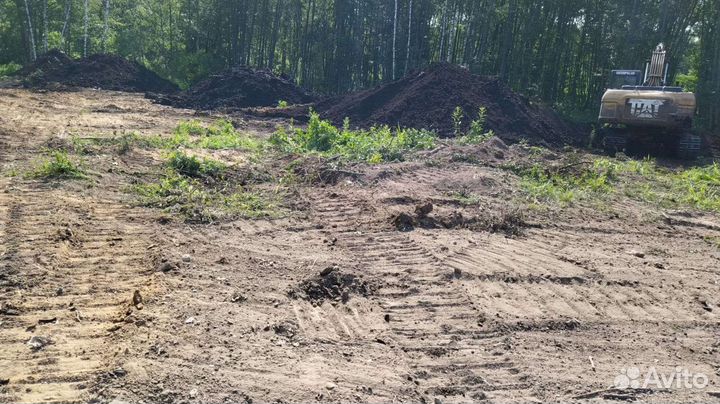 Торф сапропель