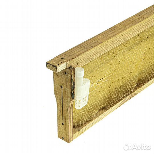 1000 шт. Колпачок на клеточку для подсадки матки