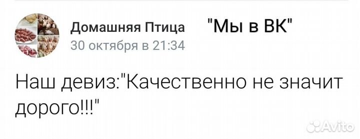 Мясо бройлера