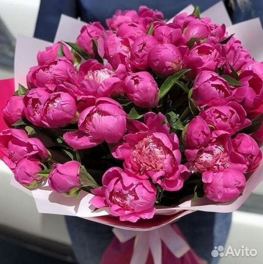 Пионы Букет пионов