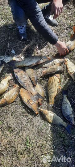 Рыбалка и отдых