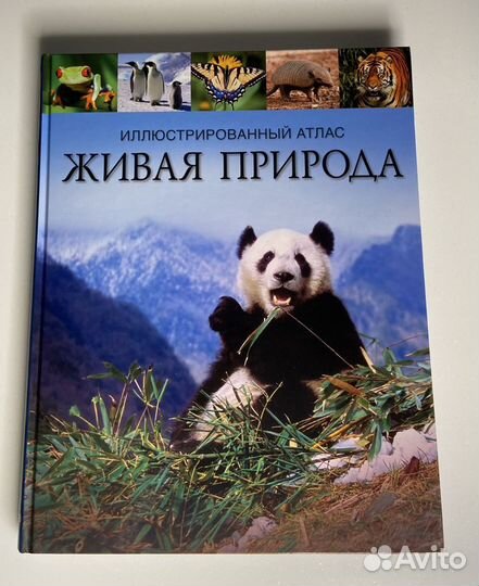 Иллюстрированный атлас