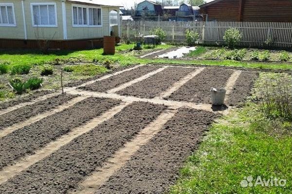 Вспашка земли мотоблоком культивация