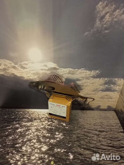 Nmea 2000 Starter kit