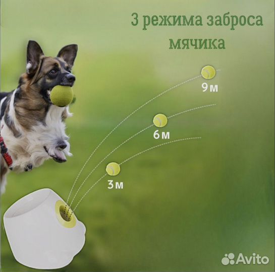 Игрушка для собак