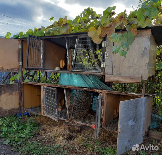 Клетка для кролика