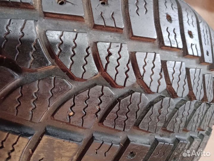 Tigar Sigura Stud 205/95 R16