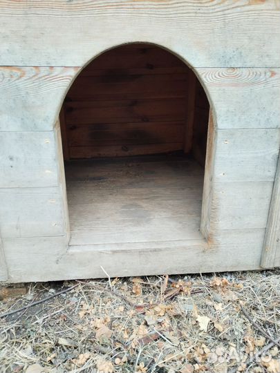 Собачья будка