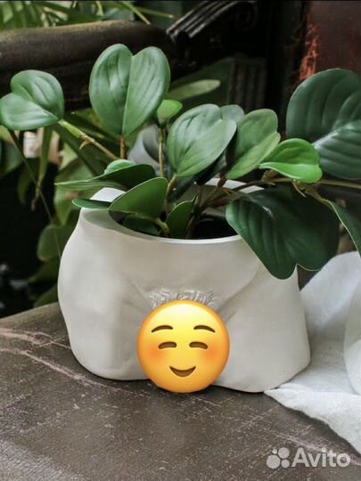 Силиконовая форма кашпо органайзер Корень Адама