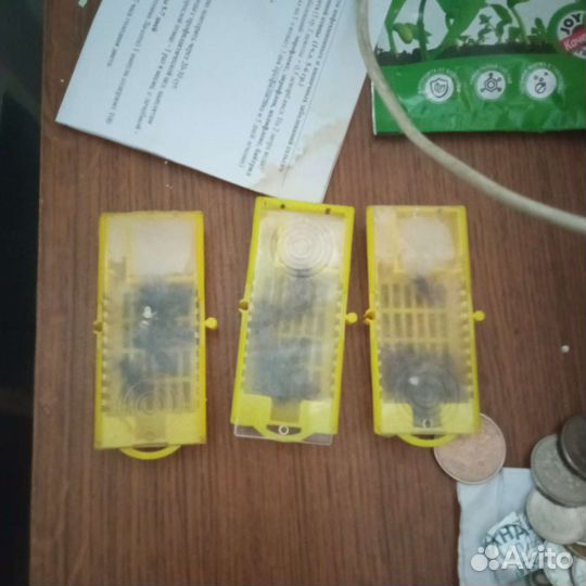 Пчеломатки