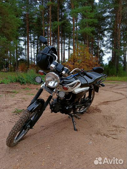 Motoland Alpha Rx 11