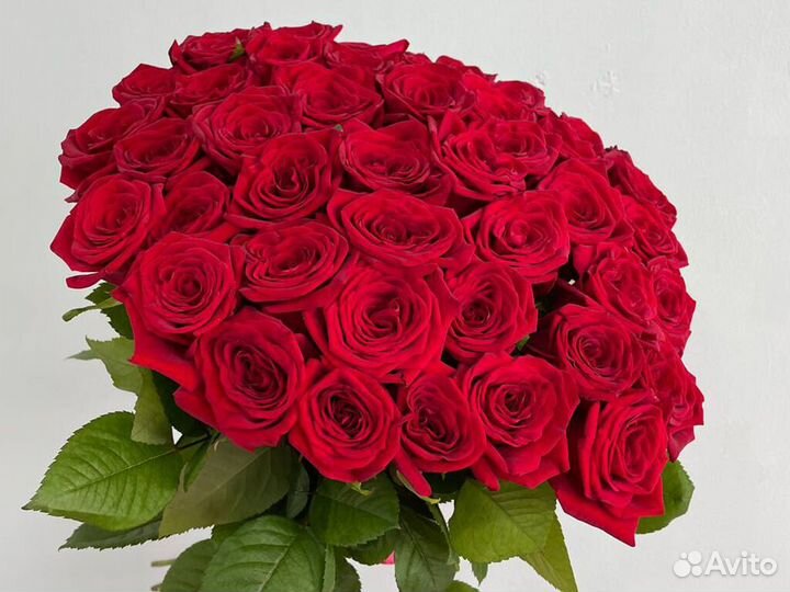 21 Роза Цветы Букеты 15 25 35 45 Розы Доставка