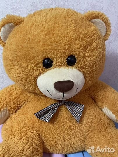 Плюшевый медведь