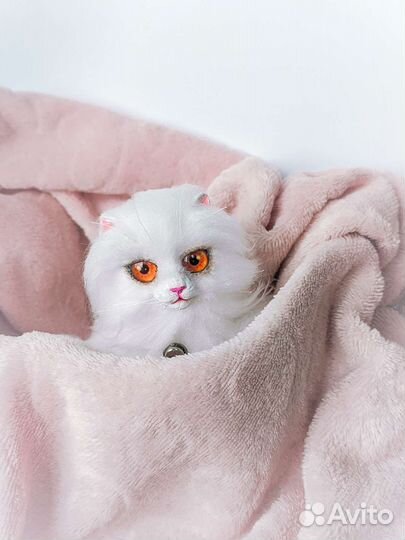 Котëнок 