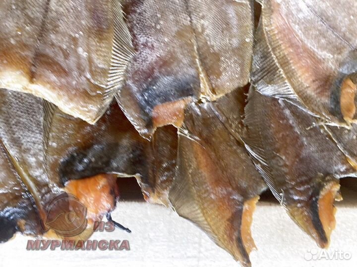 Ерш Мурманский