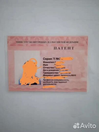 Гражданам снг помогаем при подачи патента, Рвп, вн