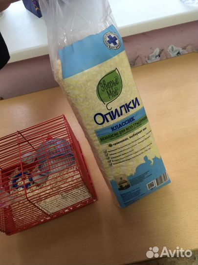 Джунгарский хомяк с клеткой