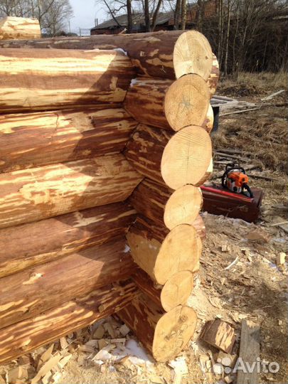 Срубы из Шексны