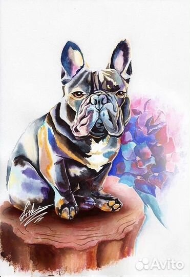 Французский бульдог кобель вязка