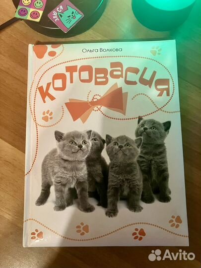 Книжка о породах кошек. Волкова О