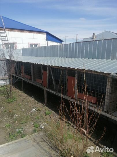 Клетки для кроликов бу