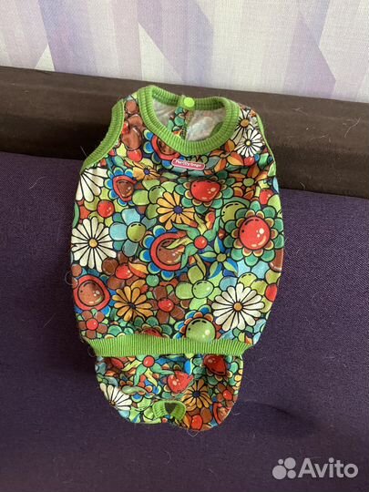 Одежда для собак, воротники