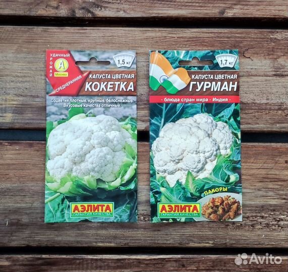 Семена капусты