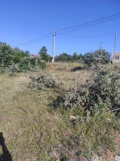 Участок 8 сот. (СНТ, ДНП)