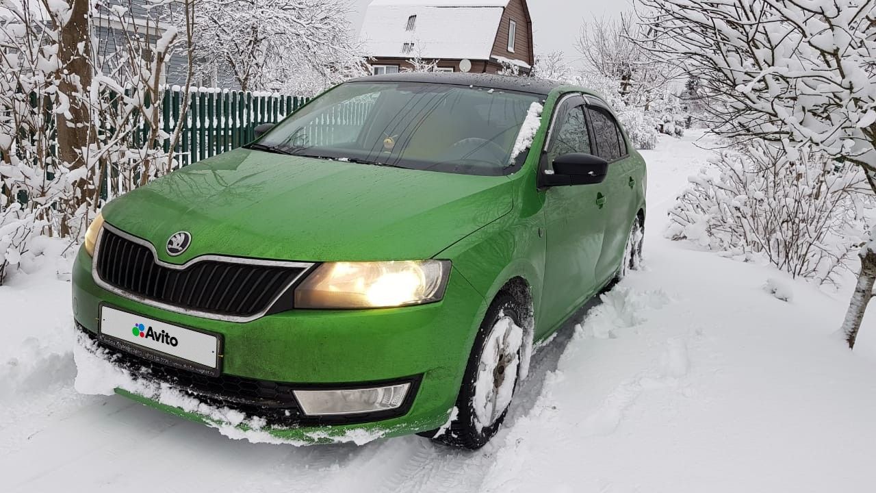 Skoda Rapid: фото владельца