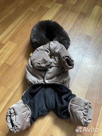 Вещи на йорка или другой маленькой собаки