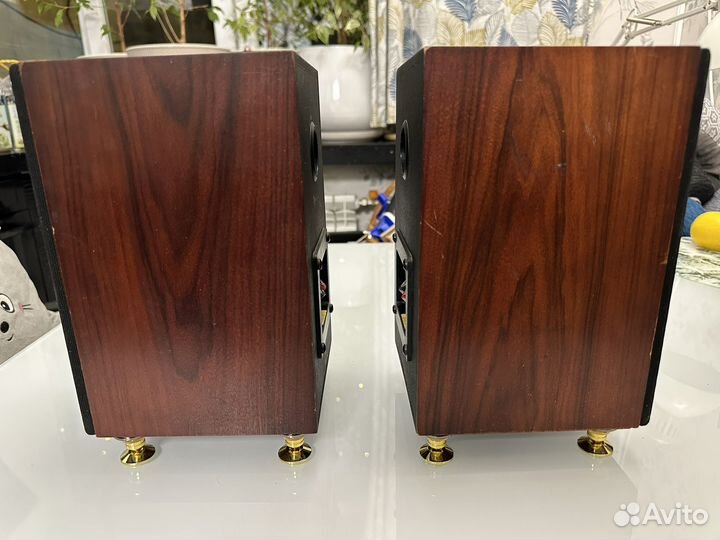 Monitor audio gold one