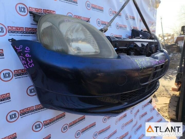 Nose cut toyota vitz