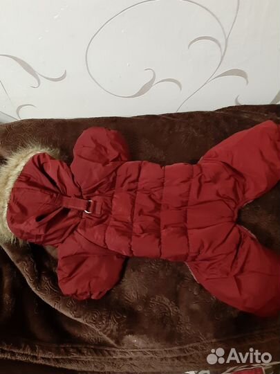 Комбинезон для средней породы собаки