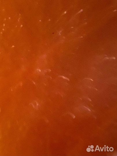 Мёд Цветочный оптом