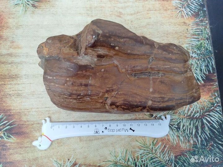 Метеорит в коре плавления,5 кг