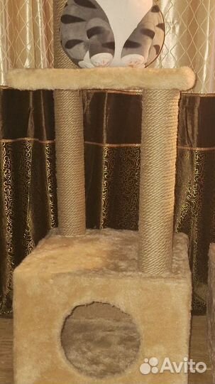 Дом для котов