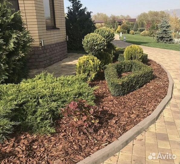 Кора сосны и лиственницы мульча